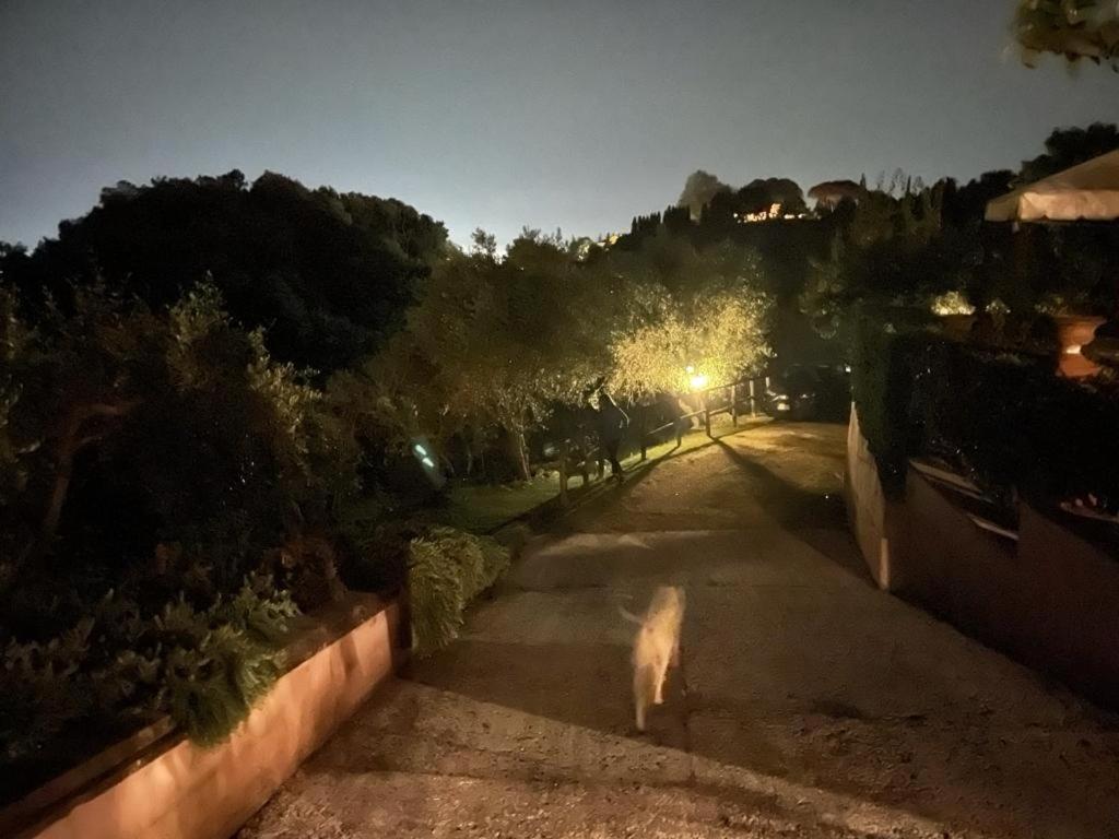 Villa Lorien Massarosa Buitenkant foto