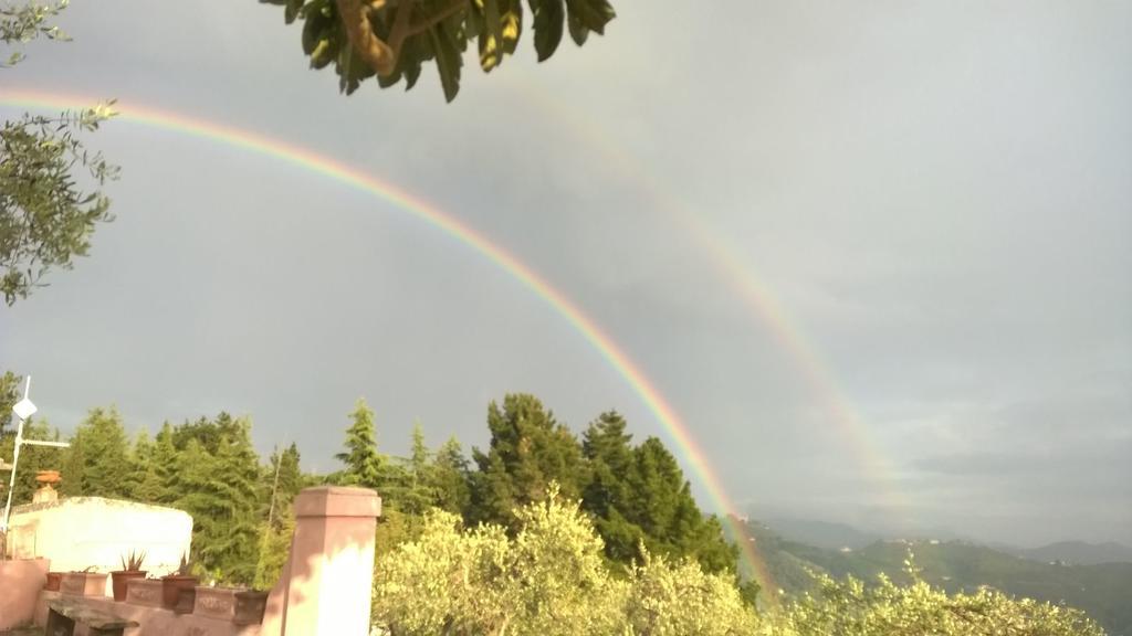 Villa Lorien Massarosa Buitenkant foto